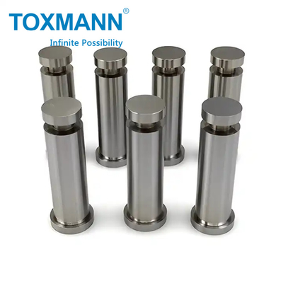 Puncitan khusus HSS stamping mati bagian M2 punch DIN9861 D standar punch